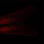 Fish Mechanotransduction